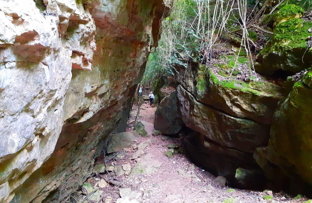Avencs_de_la_Febró_05 (1)